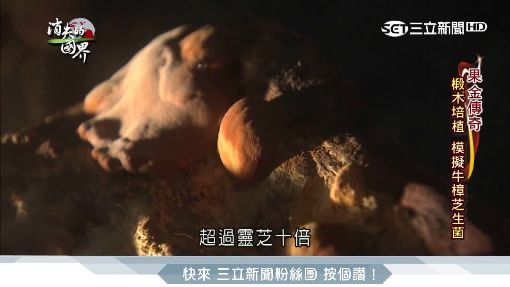 消失的國界2