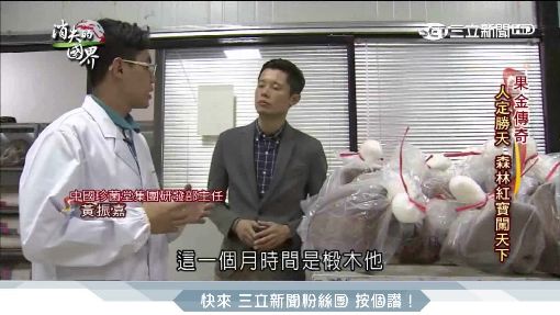 消失的國界2