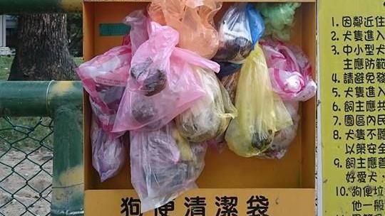 最美風景？　一張照片看透民眾公德心