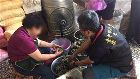 鹼粽添加硼砂　違法業者：長輩教的