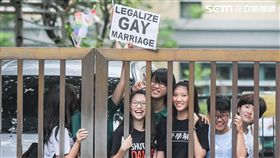 同婚釋憲，同性戀，反同，同志，平權 圖／記者林敬旻攝