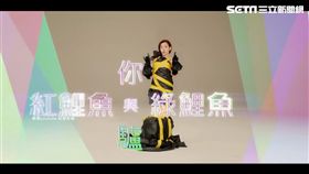 紅鯉魚,繞口令,鯉魚歌,洗腦歌,沈玉琳,Amanda,解婕翎