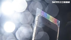 同婚釋憲，同性戀，反同，同志，平權 圖／記者林敬旻攝