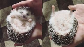 Sky睡到不省人事。（合成圖／翻攝自IG帳號：tomtom1486）