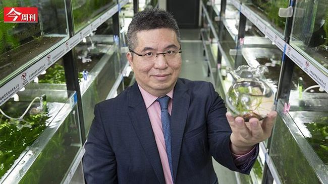 沒有經驗的他　5年讓業績成長13倍