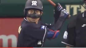 ▲阪神虎鐵人鳥谷敬帶著保護用具上場代打。（圖／截自網路畫面）