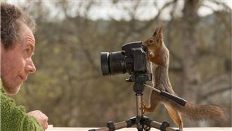 花4年突破心防　他讓松鼠化身攝影師