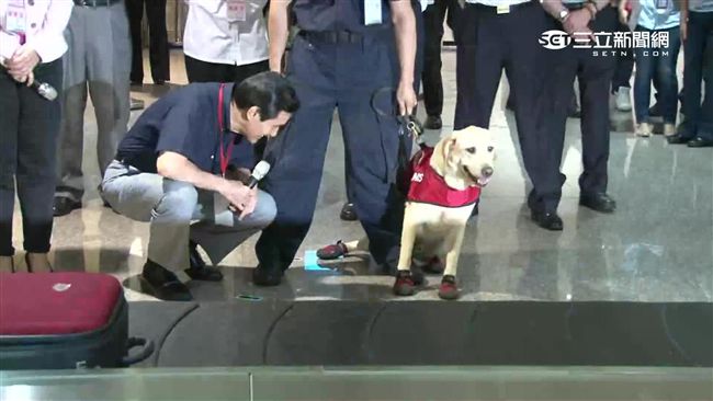 拒馬英九握手　爆紅的緝毒犬尋新主人