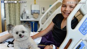 最迷你的治癒犬 吐舌＋擊掌萌翻人心。（圖／翻攝自Norbert臉書）