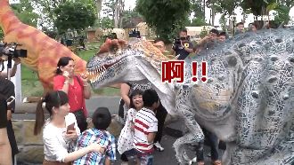 恐龍來送粽　小朋友尖叫嚇哭忙求救