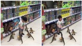 賣場，男童，恐龍玩具（圖／翻攝自爆料公社）