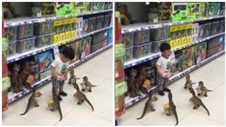 男童遭恐龍群圍剿　崩潰痛哭笑翻網友