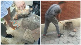 校方用水泥封死出口　敲開後拖出狗屍
圖／翻攝自微博