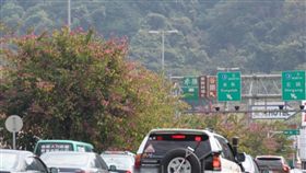 塞車　圖／中央社