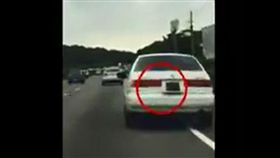 國道三寶出沒　網友：小屁孩變老屁孩（圖／翻攝自《爆料公社》臉書） 