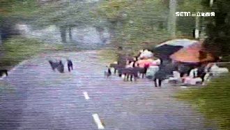 叫救命也沒用！落單婦遭野狗群咬傷