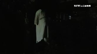 沒頭沒腳…半夜一件白衣在蕉園飄啊飄