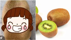 奇異果,狗,汪,黃狗,阿嬤,營養　圖／翻攝自維基百科https://goo.gl/FS3NKe、今日頭條https://goo.gl/ZSoQHN