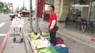 腦積水又中風　「自種自賣」玉米重生