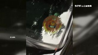 違停貼警友證　住戶檢舉控警不處理