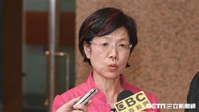 同婚釋憲，同性戀，反同，同志，平權，民進黨立法委員尤美女 圖／記者林敬旻攝