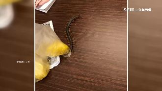 飯店睡覺被痛醒　男子遭「蜈蚣」狠咬