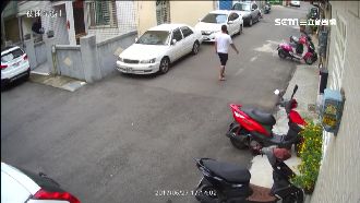 BB槍射貓　住戶喊冤：製造髒亂驅趕