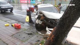 四口撞路樹1200.