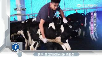 他的牛奶夢！獸醫師持續翻轉白色革命