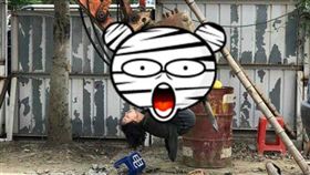 護樹,大巨蛋,施工,特技／爆料公社