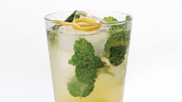 氣泡飲品DIY　今夏連喝水都潮