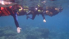 潛水沒付錢評論店家一顆星　店家嘆『網路見』風氣盛(圖／翻攝網路)
