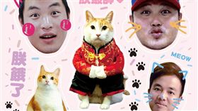 桃猿辦趴 貓派戰士貼紙（圖／桃猿提供）