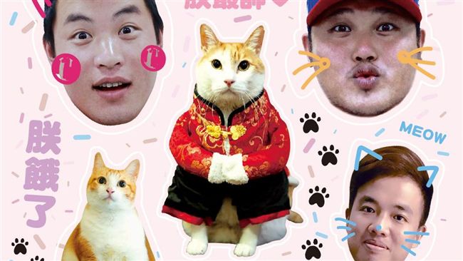 桃猿寵物趴　推出球員貓咪聯名貼紙
