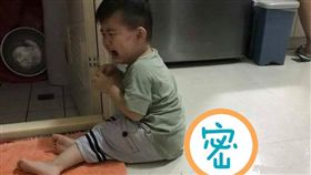 男童，蝦子，惡作劇，嚇哭（圖／翻攝自爆料公社）