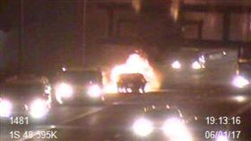 火燒車,國道,火警,火災,事故,南下,國道1號-翻攝自國道路況即時通