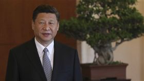 習近平＿美聯社／達志影像