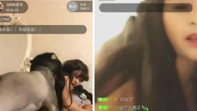 實況主全裸直播嬉鬧　險遭狗從後面…