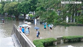 輔大逢大雨必淹，中美湖再現。