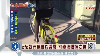 傳陸資收購捷安特　巨大發聲明否認