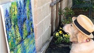 汪星人看得懂油畫！專注模樣笑翻網友