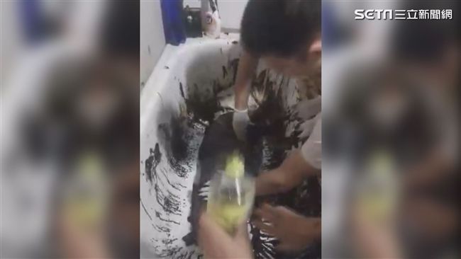 浪浪遭潑柏油　志工徒手洗5小時救援