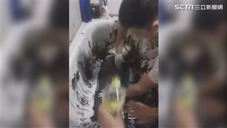 浪浪遭潑柏油　志工徒手洗5小時救援