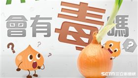 聽說發芽的洋蔥有毒不能食用，是真的嗎？（圖／擷取自食用玩家臉書http://bit.ly/2rm8l68）