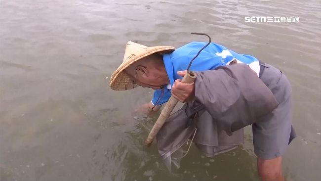 豪雨灌台災情慘　一期水稻損失破千萬