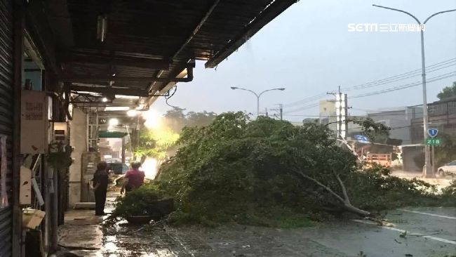 今年3-5颱侵台　中強度以上機率高