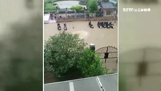 車子泡水氣呼呼　公部門竟還踢皮球？