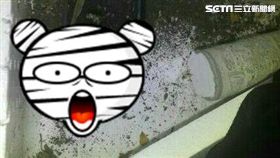 手榴彈,未爆彈,垃圾,軍隊 
圖／翻攝畫面