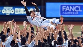 ▲讀賣巨人在原辰德帶領下，奪下中央聯盟3連霸。（資料照／美聯社／達志影像）