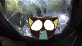 青蛙,車頭燈,機車,大燈,玻璃罩,爆料公社　圖／翻攝自洪嘉興臉書https://goo.gl/zRoYHe